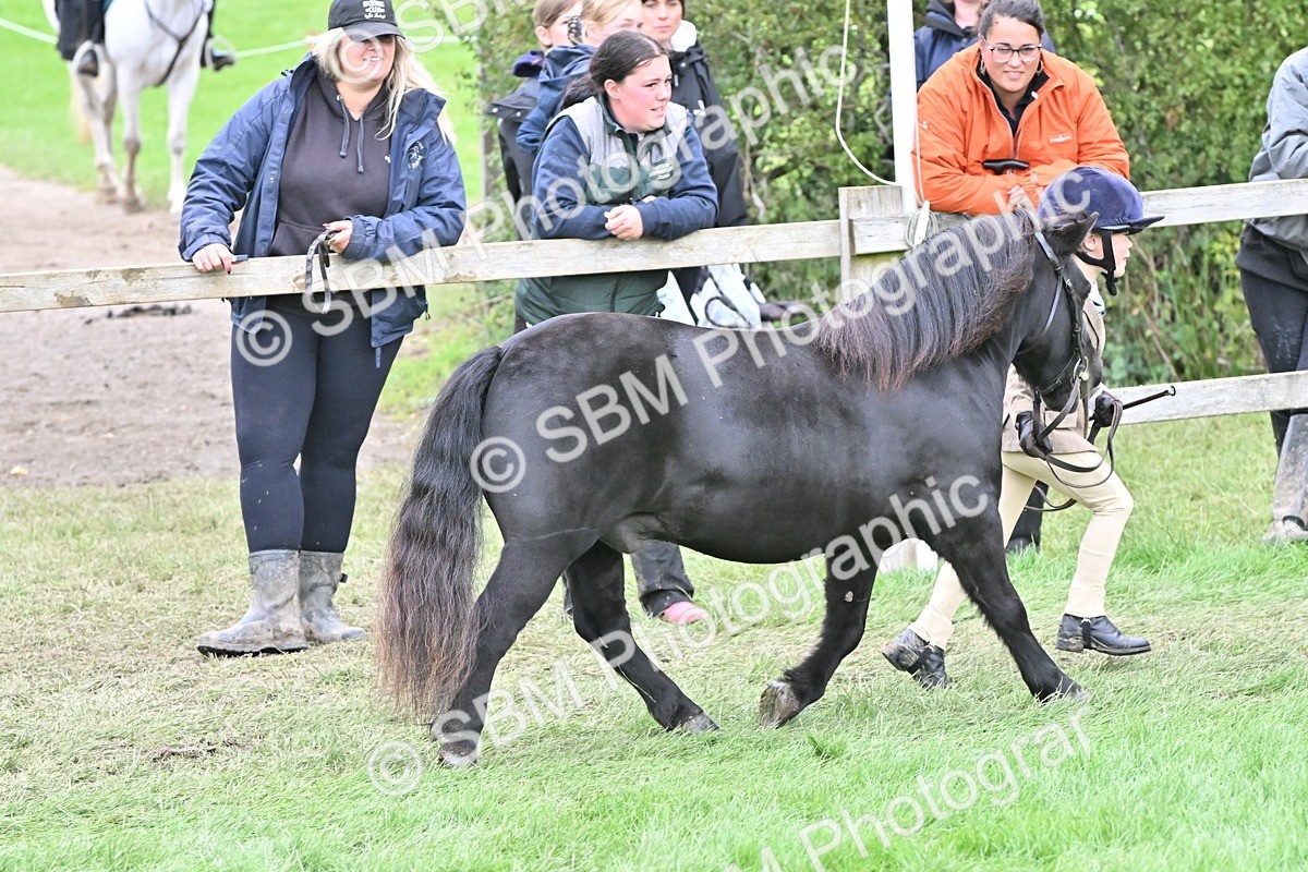 SBM_66784 - S41 - Junior Handler 8 Years & Under