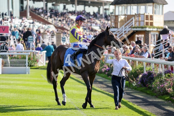 yr08102021r2-8 - Race 2 2.40pm Racing to School EBF Novice Stakes