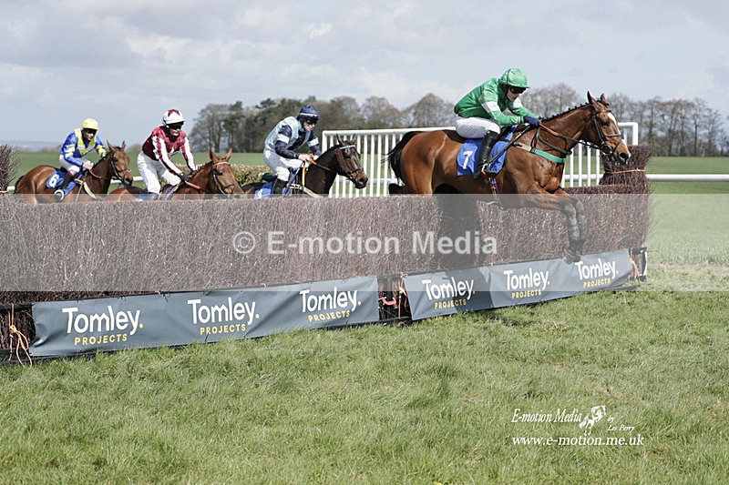 PtP 100423 488 - Old Berkshire Point-to-Point Lockinge 10/04/23