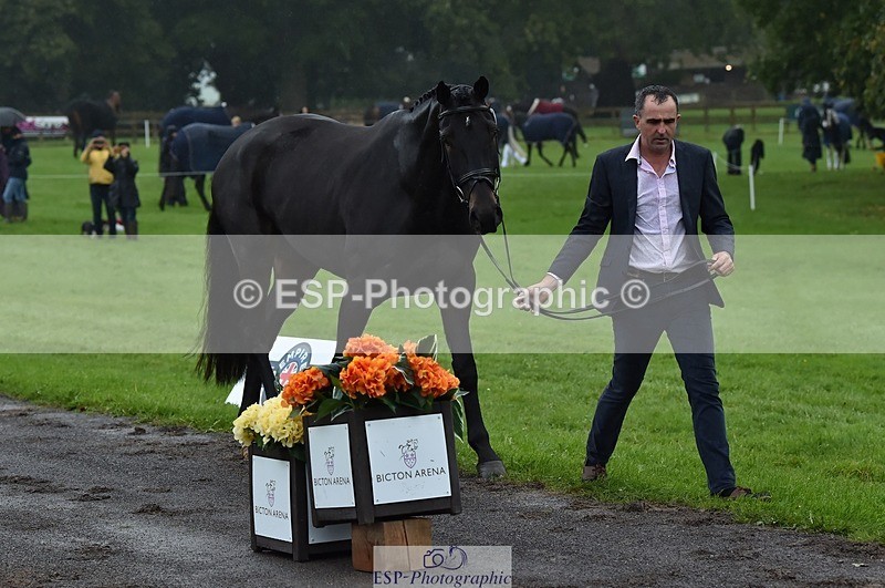 231018-120626-00083 - 060-COOKSTOWN.JACKSON-Alan.Nolan-TrotUp