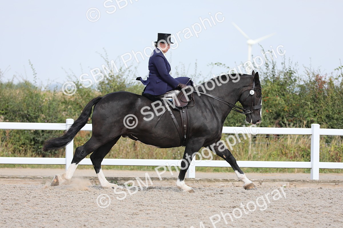SBM_14515 - Class 211 Best Side Saddle Horse/Pony