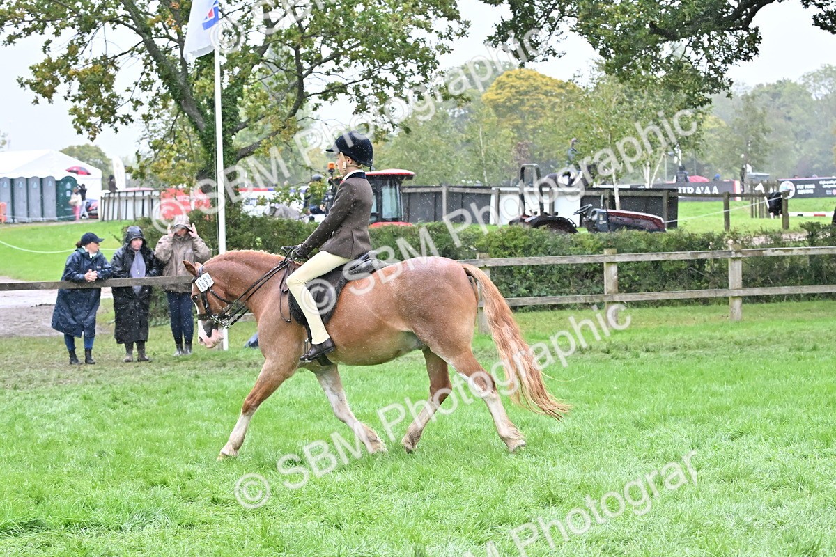 SBM_72483 - S43 - Ridden Equitation Best Rider
