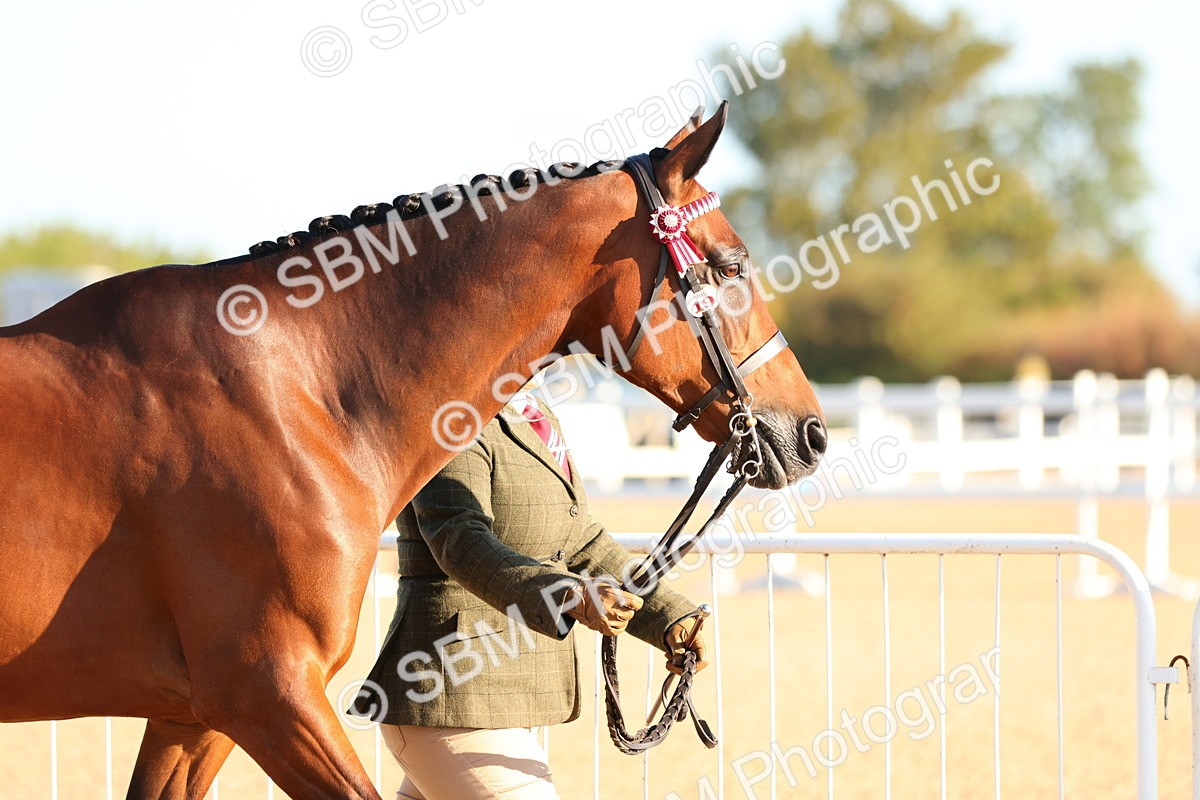SBM_07960 - Class 201 - Best Turned Out - IH