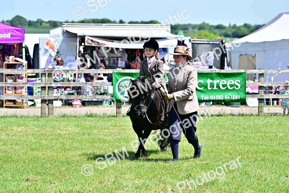 SBM_05865 - Class 59-60 - TSR M&M  Lear Rein and First Ridden Amateur of the year