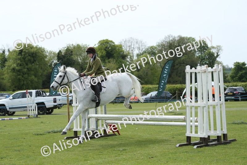 20260426-2068 - Class 15 - Absolute Novice 70cm