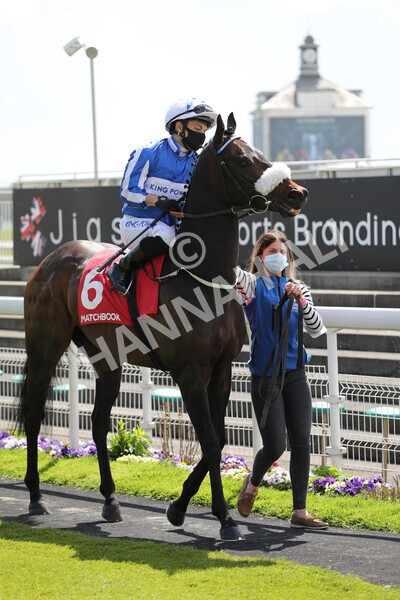 yr13052021r1-12 - Race 1 1.40pm The Matchbook Betting Exchange Stakes