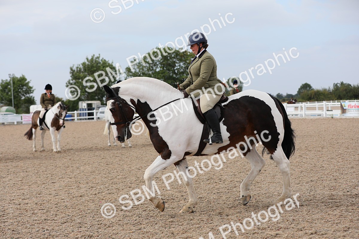 SBM_16948 - Class 314 Family Horse/Pony