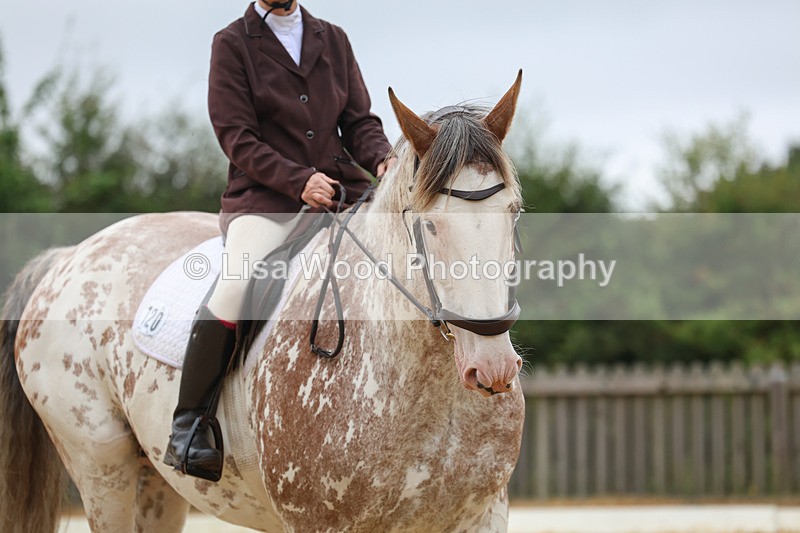 3E7A4906 - Class 1: Intro 4 2024 section A