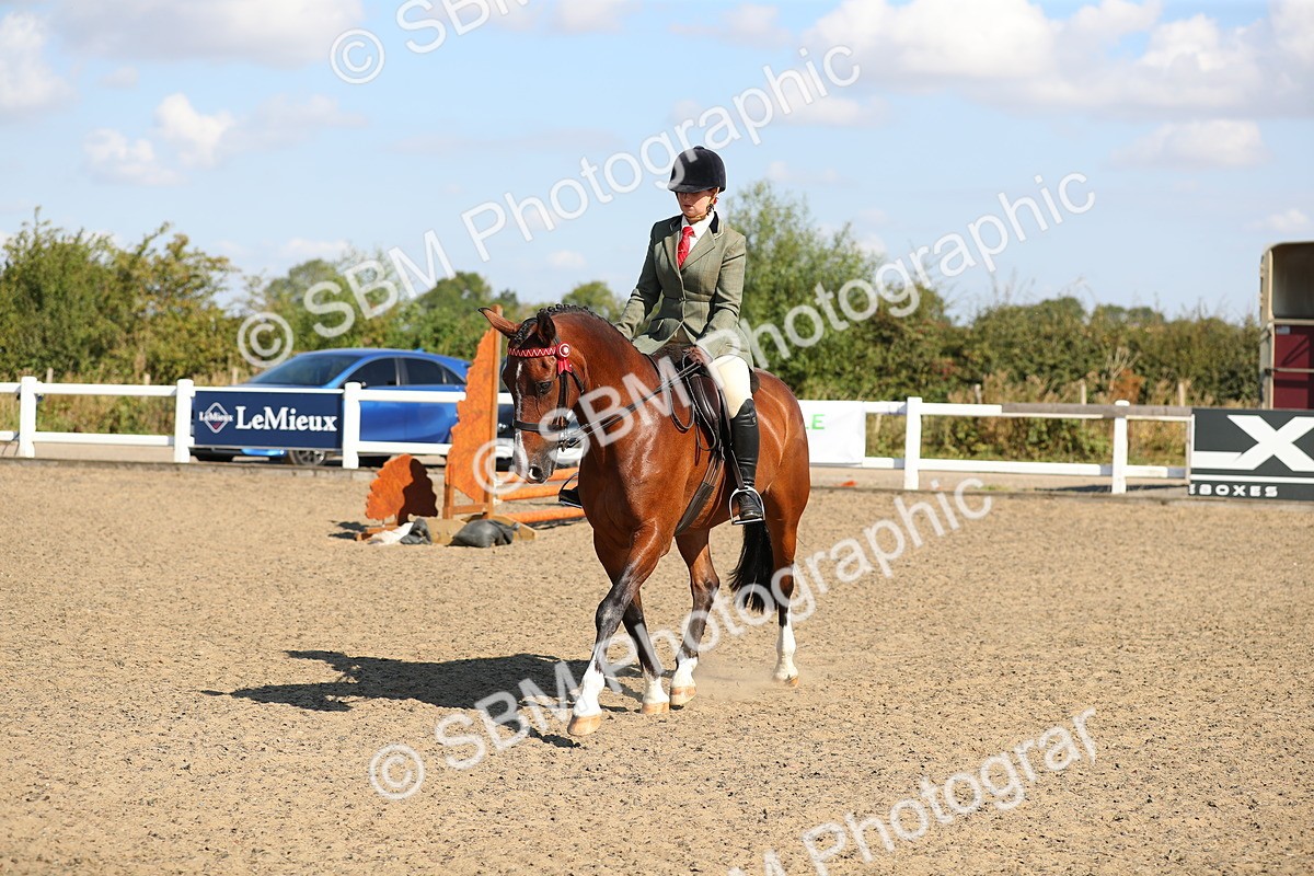 SBM_02330 - Class 43 Ridden Competition Horse/Pony