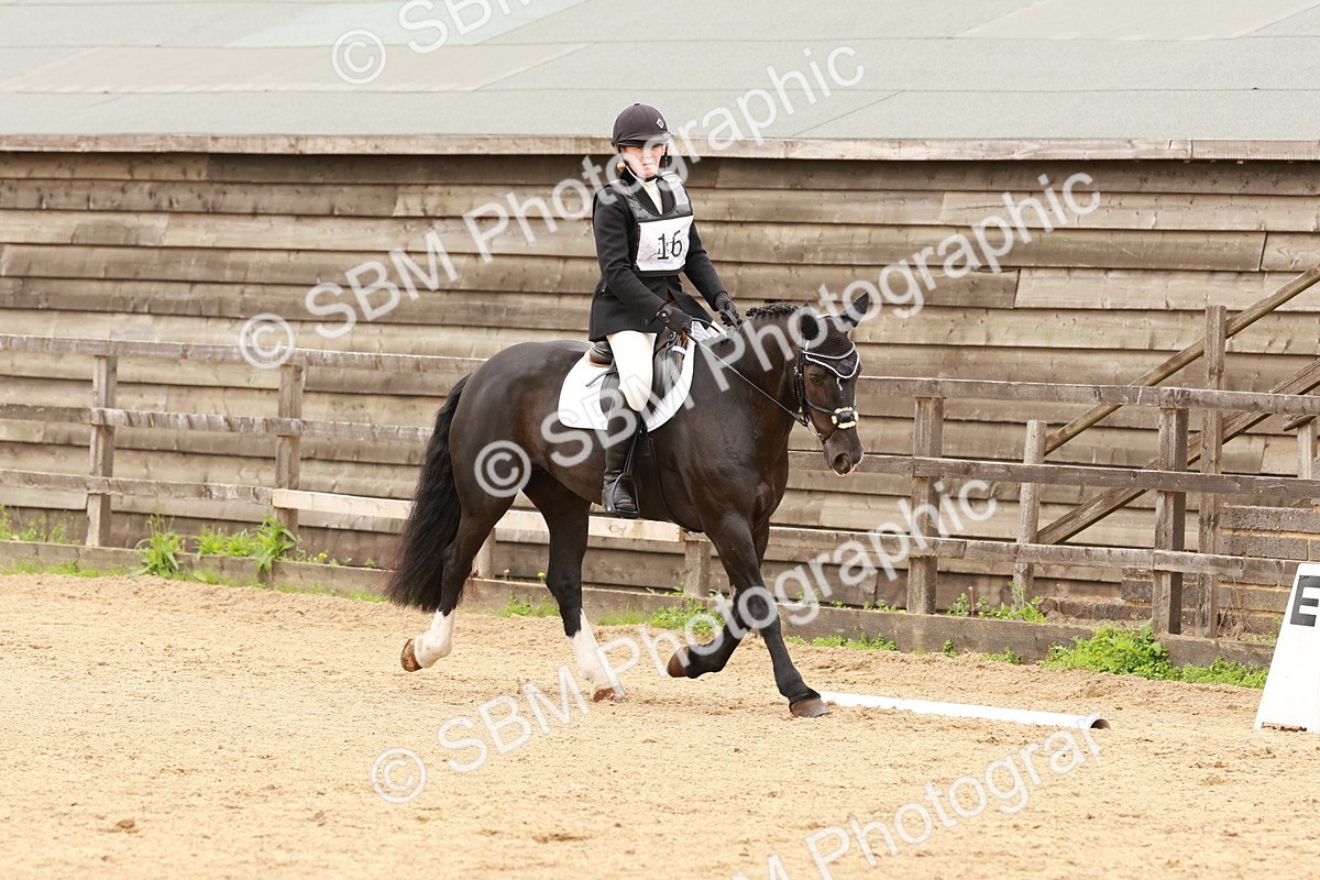 SBM_001586 - Novice 1
