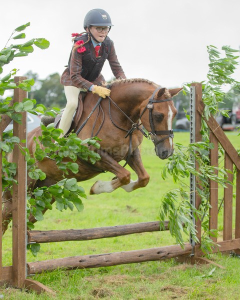 Dunblane show-72 - Dunblane and Doune Show Ring 1