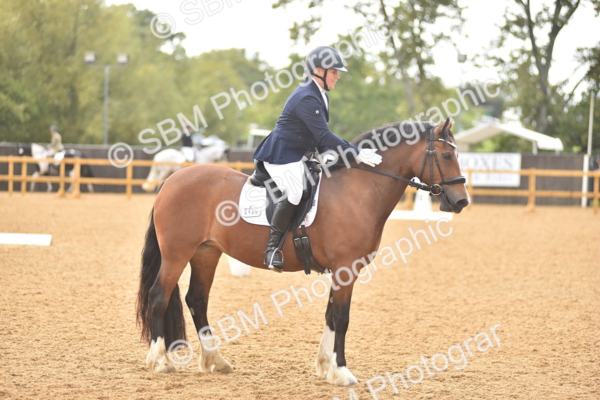SBM_02093 - D7 - Small Tour Championship Prelim 2