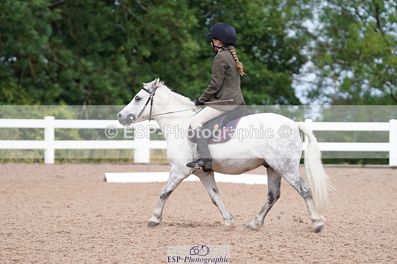 240809A-104532-00652 - Dressage Competition