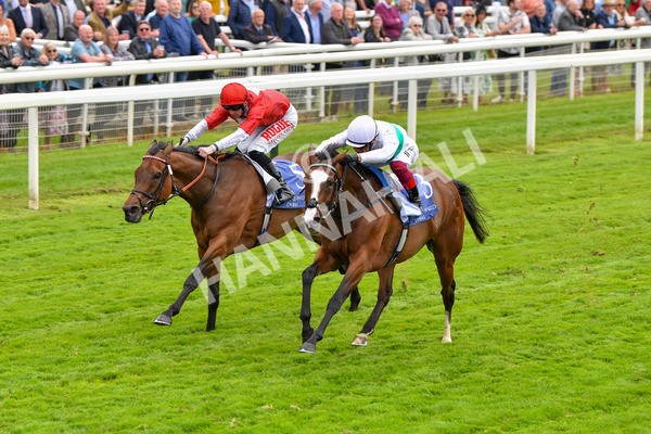 180523-Race 2-Free Wind-9565 - Race 2 2.25pm Al Basti Equiworld Dubai Middleton Fillies' Stakes