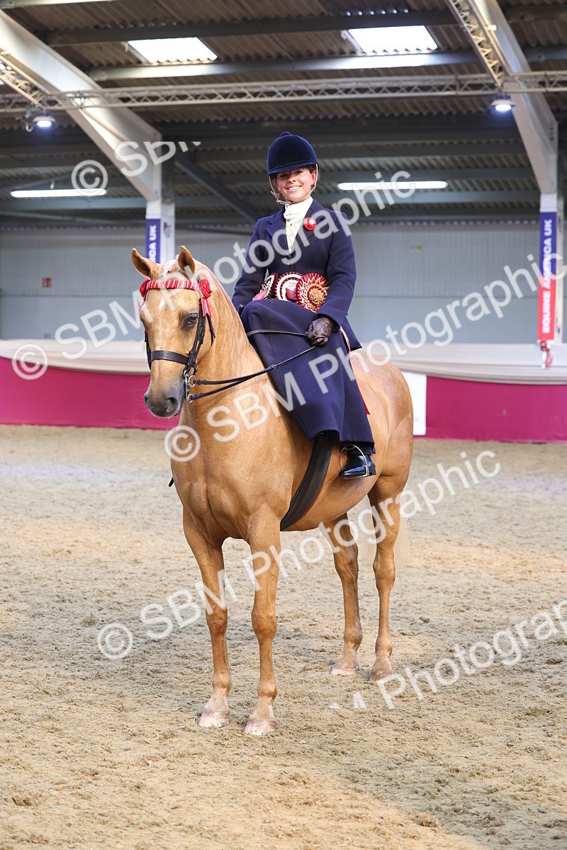 SBM_24691 - Class 906 - Supreme Final - Ridden Pre Vet
