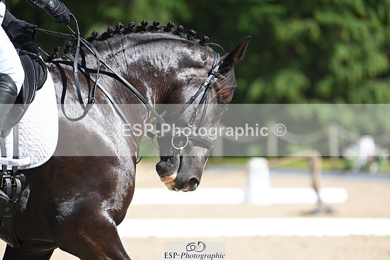 230811-145047-02133 - Cls 2 Prelim Silver 14.45 to End
