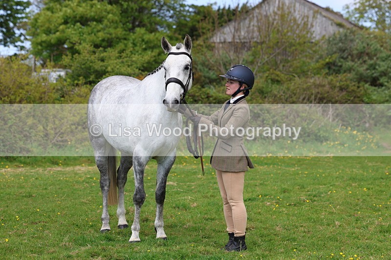 3E7A0511 - Class 20: Sports Horse