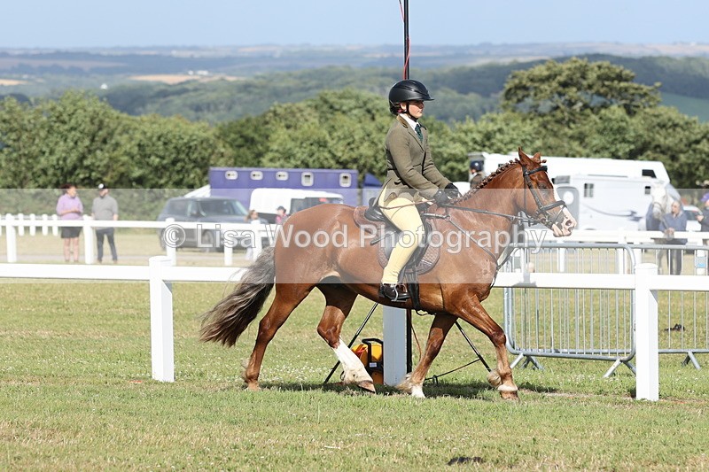 JPP_2868 - Class 20: Working Hunter 70cm