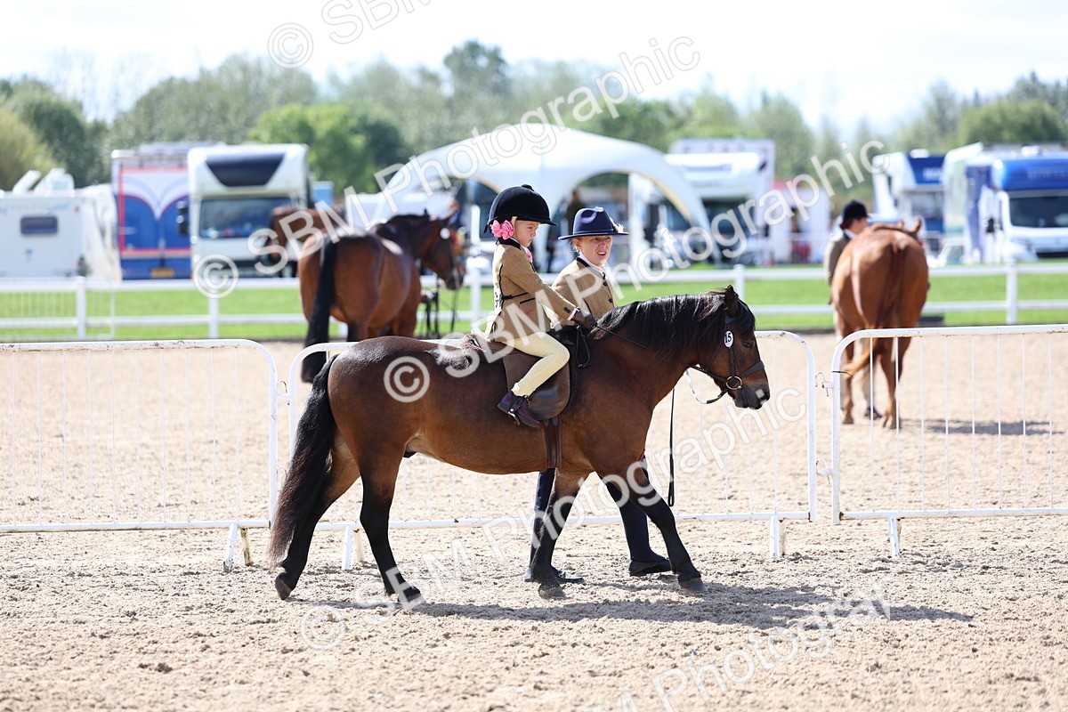 SBM_13013 - Class 309 - Lead Rein Pony