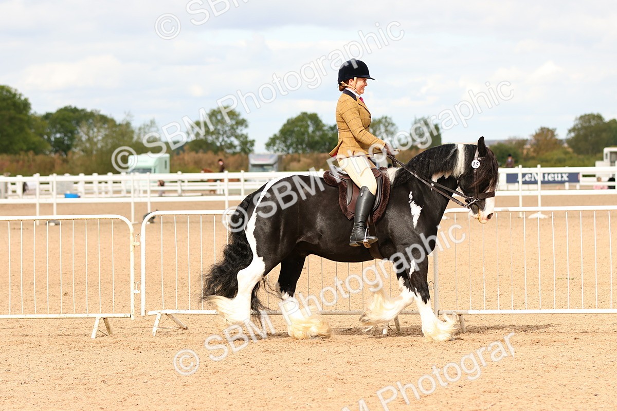 SBM_15655 - Class 215 - Ridden Traditional - Native Cobs