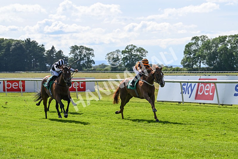 160624-Race 3-Mereside Diva-8523 - Race 3