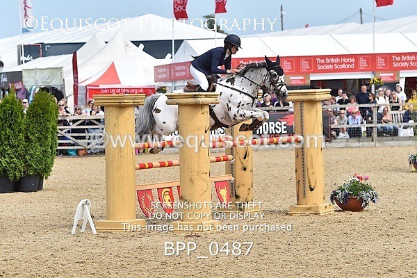 BPP_0487 - RHS 2019 Selection - *Just some random spectator shots so Lucky Dip if you are there!