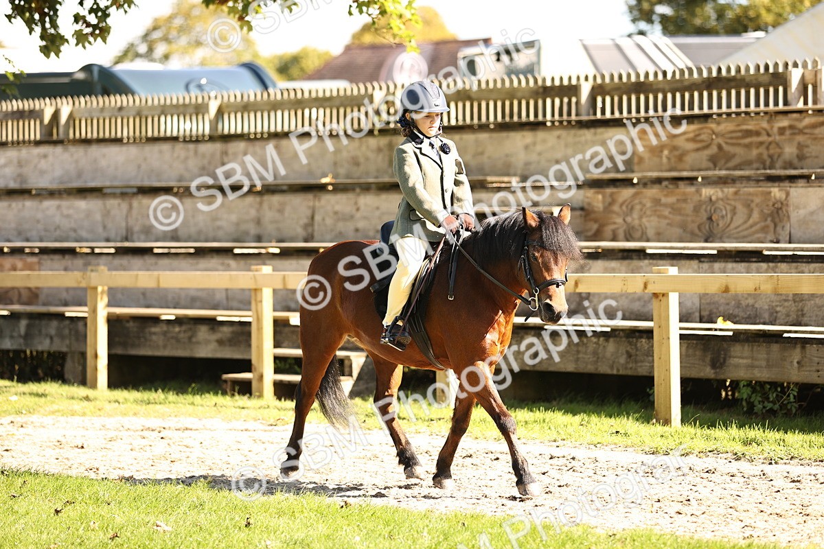 SBM_19254 - S3 - TSR Ridden Pony Showing