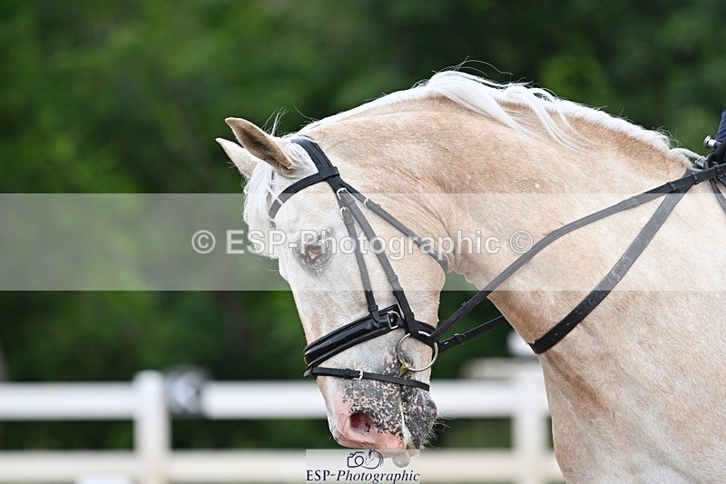 240622A-091451-06733 - Cls 23 BD Prelim 19