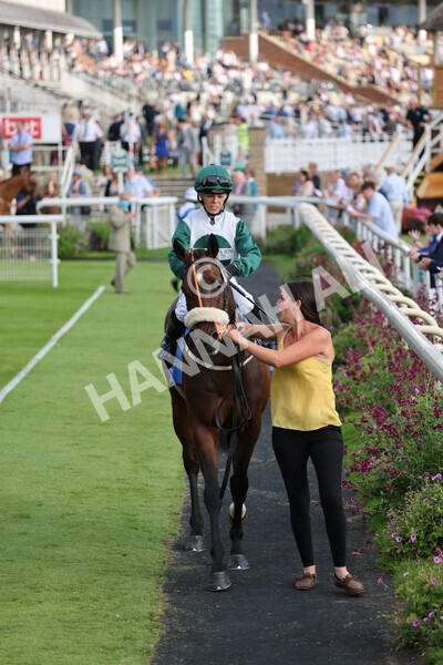 yr23072021r2-6 - Race 2 6.30pm IRE-Incentive It Pays To Buy Irish Stakes