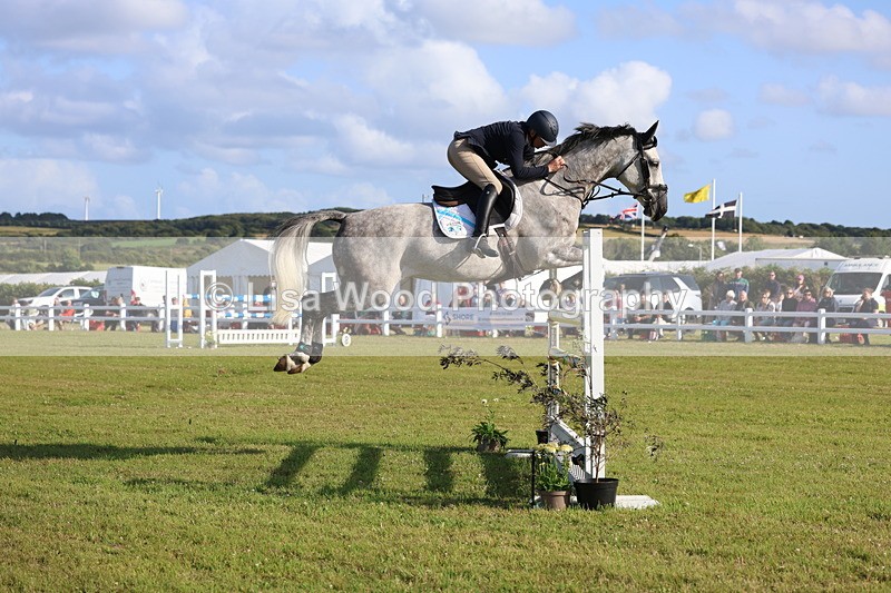 3E7A4407 - Class C: Showjumping Senior Foxhunter