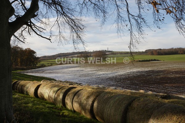 36 - SCOTTISH BORDERS