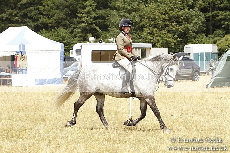 _BS_0990 - Working Hunter Championship BVRC Show 2018