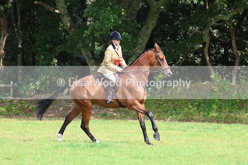 3E7A6063 - Working Hunter Championship