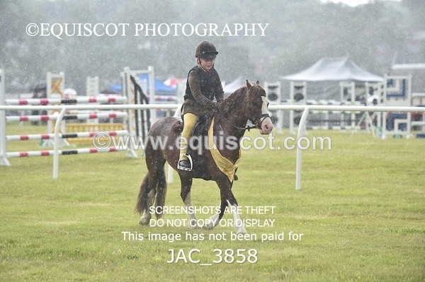 JAC_3858 - 65cm WORKING HUNTER