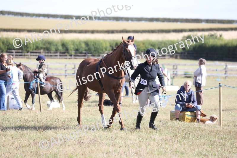 20260906-0709 - Class 22 - Ex Racehorse