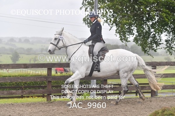 JAC_9960 - CLASS 3 Intermediate Working Hunter (0.70m - 0.85m)