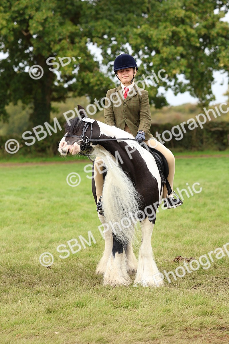 SBM_64454 - S58 - Coloured Pony Ridden