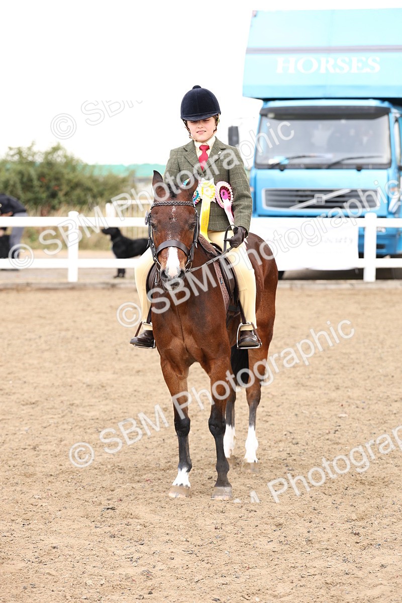 SBM_02951 - Class 53 - Ridden Competition Horse/Pony
