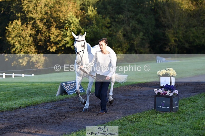 231022-085744-21471 - 646-SKIPTOTHEGOODBIT-Sophia.Mcdonald-TrotUp+SJ