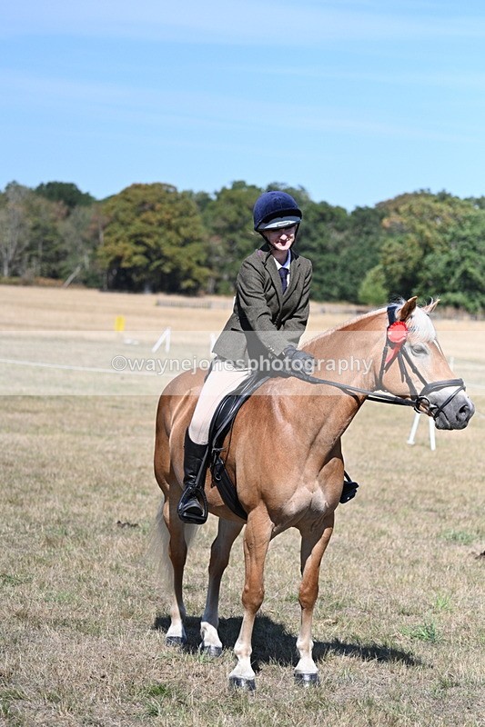 WJ7_1324 - Class 41 Prettiest Mare