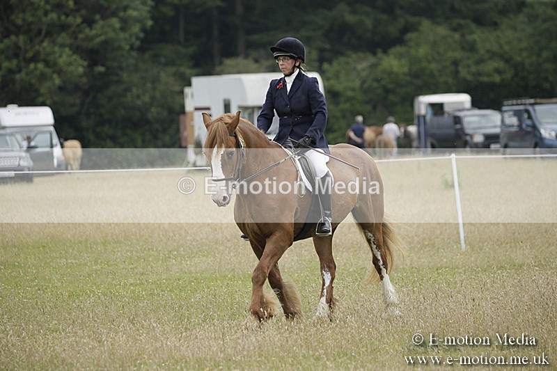 B230619-0316 - Bourne Valley Riding Club Summer Show 23/06/19
