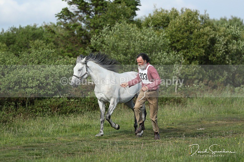 SPXX0149 - Friday vetting