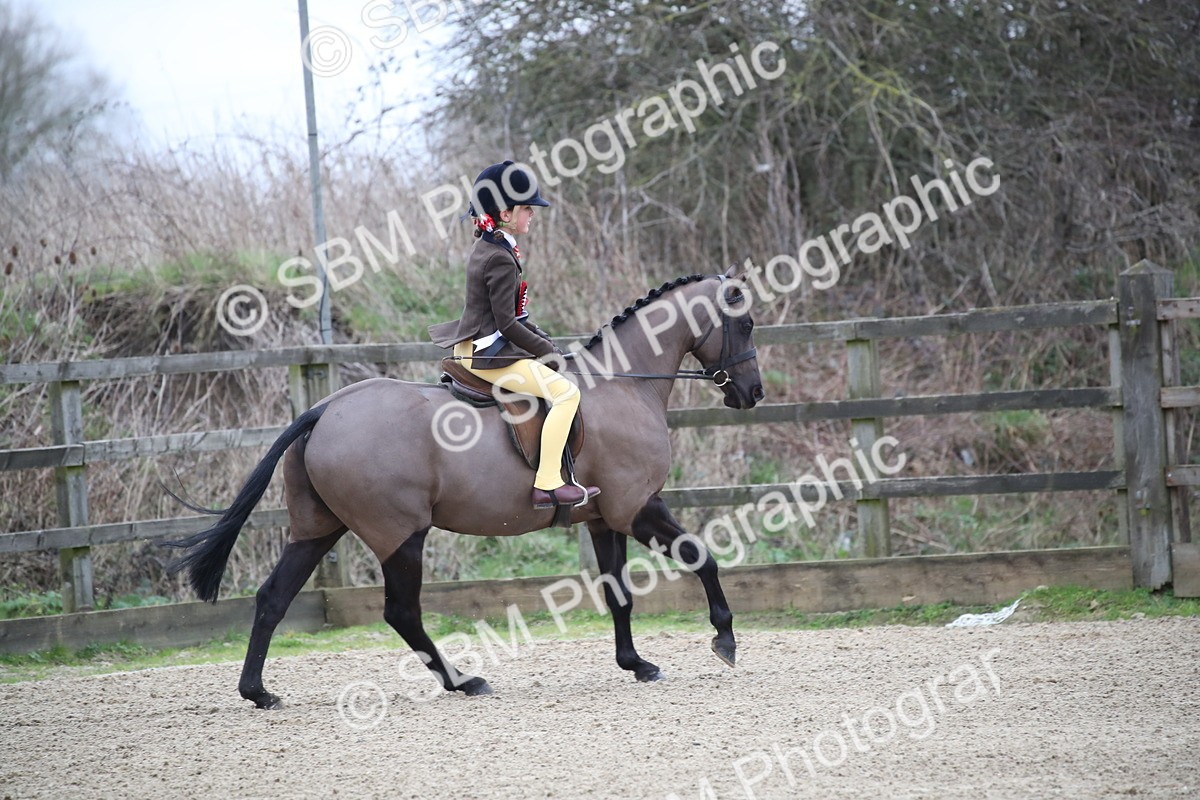 SBM_004627 - Class 5-9 - NPS In Hand-Show Hunter-Intermediate Ridden Inc Ridden Championship