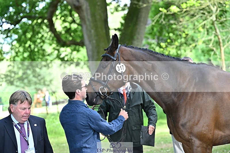 250521A-153406-00596 - B-317-Rupert.Batting-COOMBELAND.TALISMAN