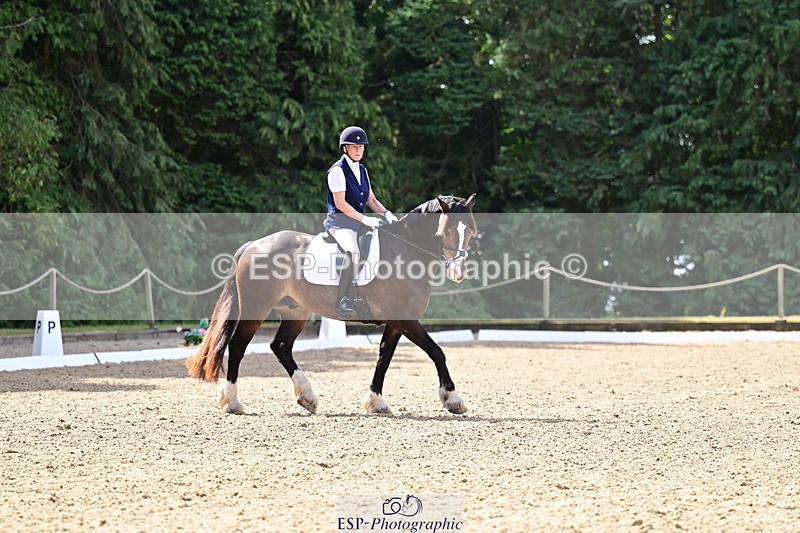 260802A-104350-05579 - Novice Silver break - break