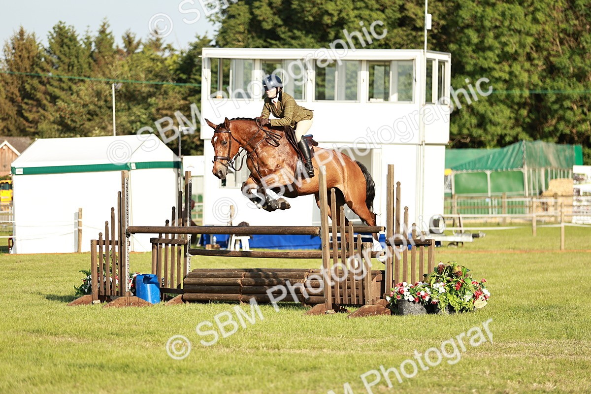 SBM_20375 - Class 117-119 - Sport Horse Working Hunter