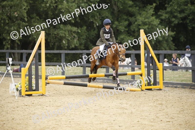 20250622-6247 - 60cm