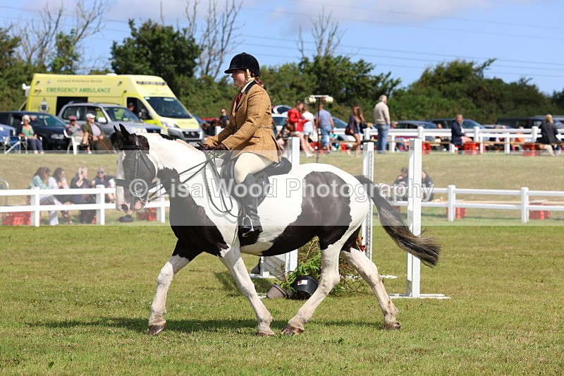 3E7A9906 - Class 5: Rising Star Lightweight/Heavyweight Cobs