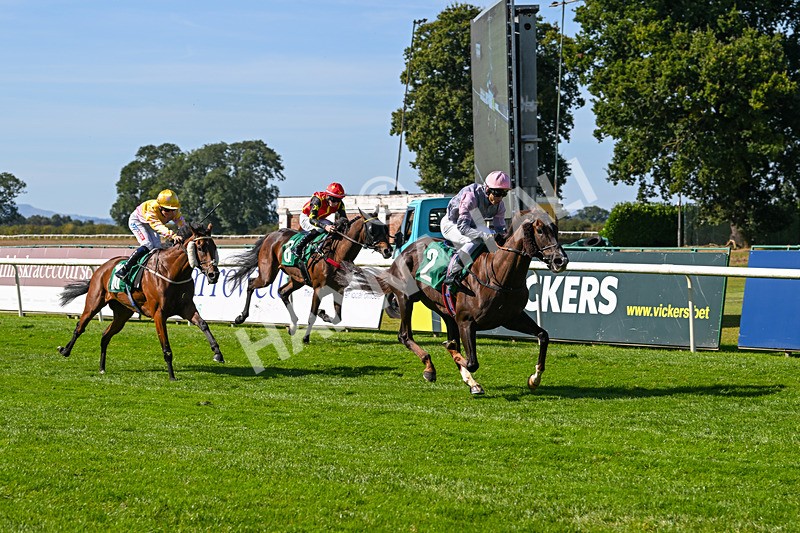 160924-Race 1-Susiesparkle-2512 - Race 1