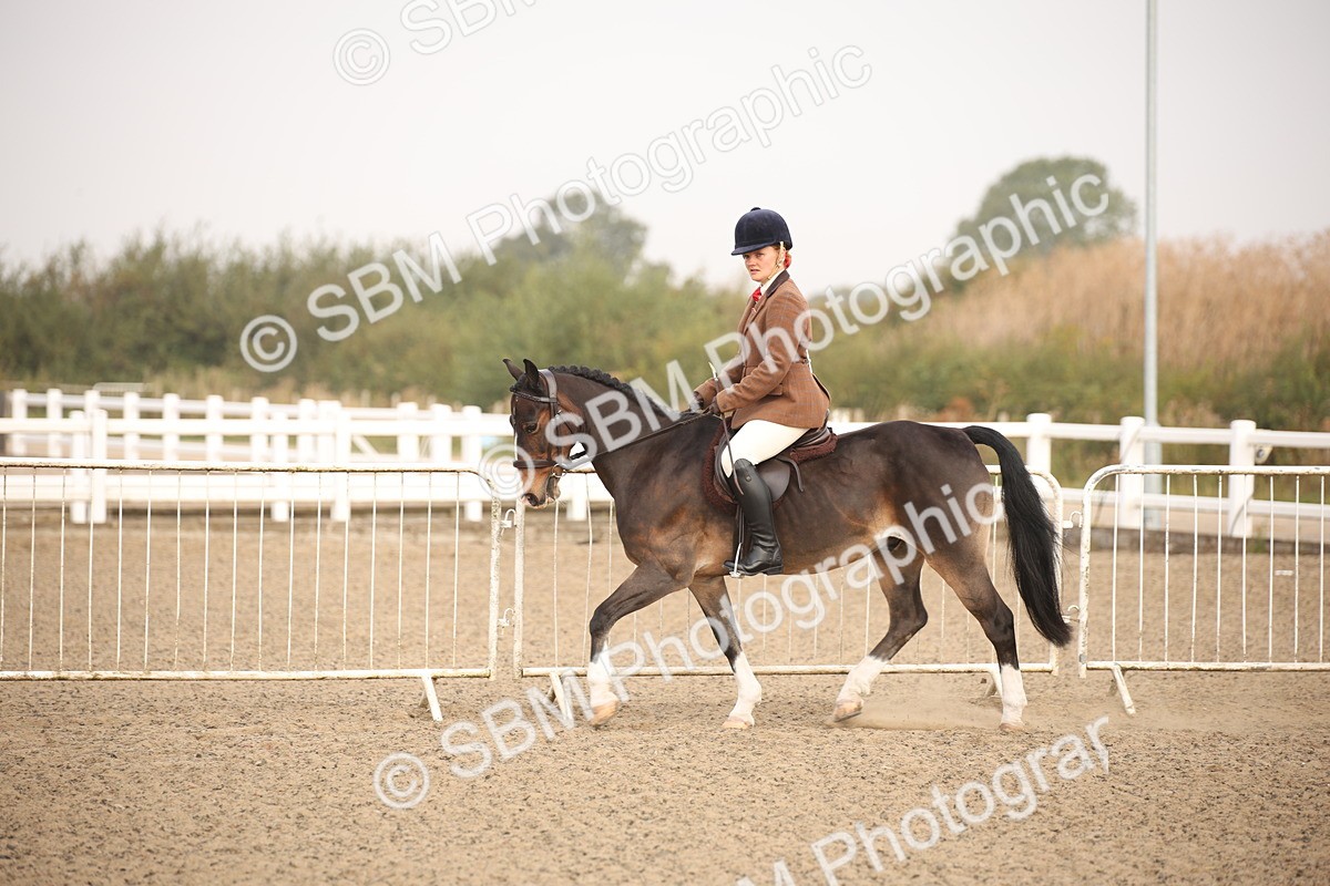 SBM_09709 - Class 401 Riding Club Pony